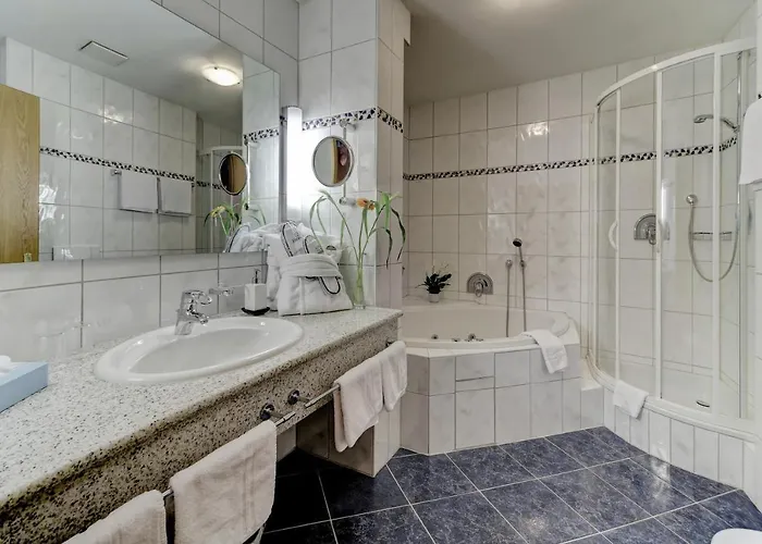 Hotel Wellnesshotel Hofbraeuhaus Bodenmais
