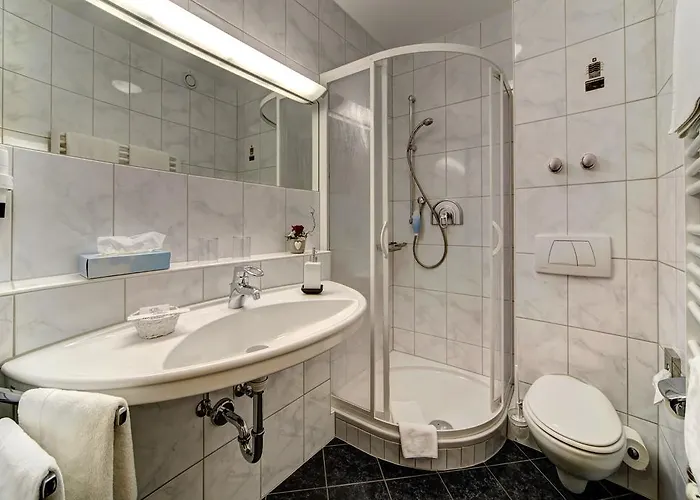 Wellnesshotel Hofbraeuhaus Hotel Bodenmais