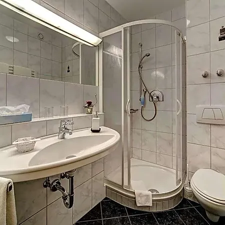 Wellnesshotel Hofbraeuhaus Hotel Bodenmais